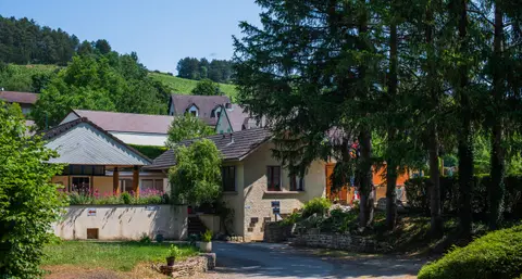 Camping Les Premières Vignes