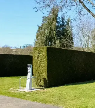 Le Sans Souci