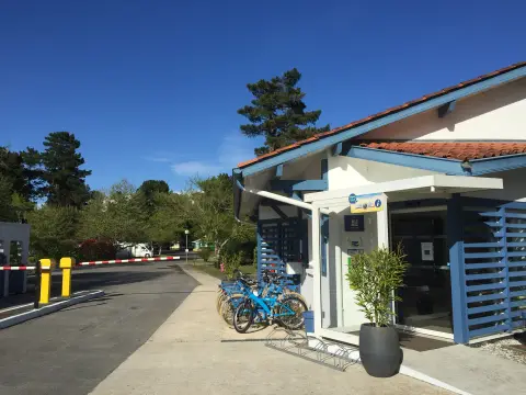 Les Pins Bleus