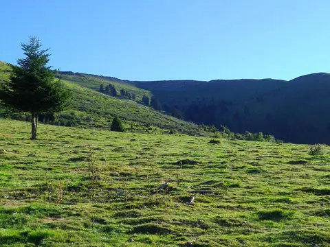 Camping l'Orée des Monts