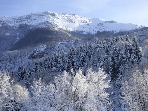 Camping l'Orée des Monts