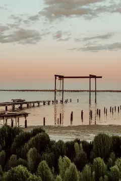 GCU Vias Améthyste