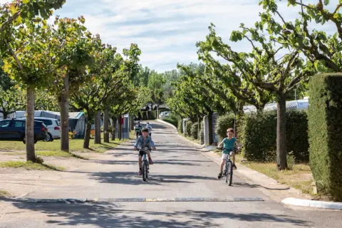 Camping el Solsonès
