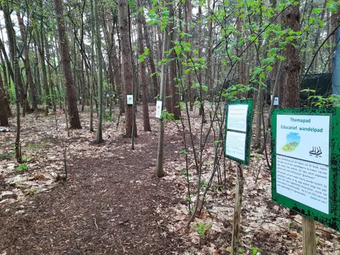 Natuurleven 't Vennebos