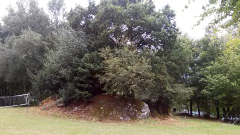 Camping des Bruyères