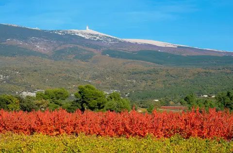 Camping Provence Ventoux à Sault