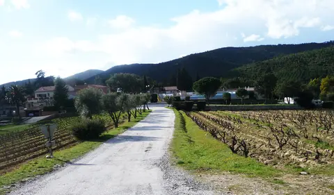 Manjastre