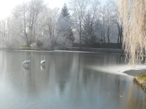 Camping de l'Aigrette