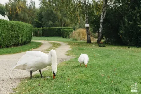 Camping de l'Aigrette