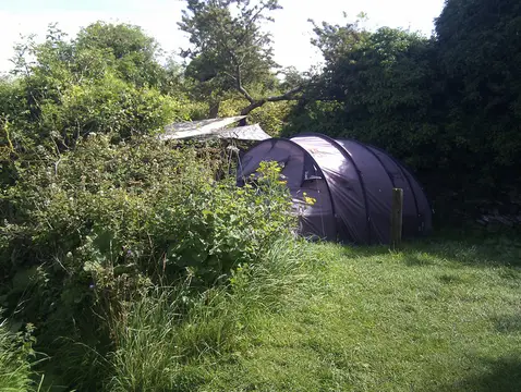 Tom's Field