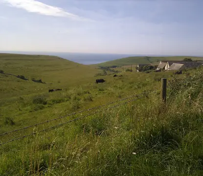 Tom's Field