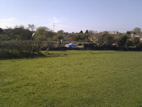 Tom's Field