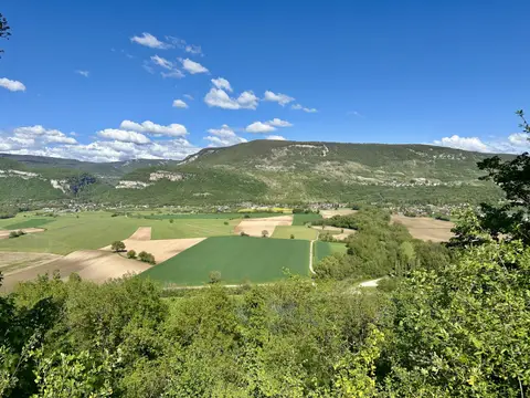 Le Point Vert