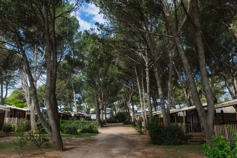 Camping Avignon Parc