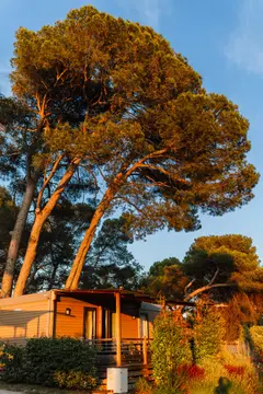 Camping Avignon Parc