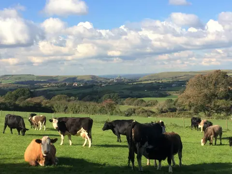 Downshay Caravan and Camping