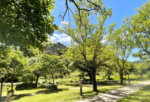 Camping de la Claysse