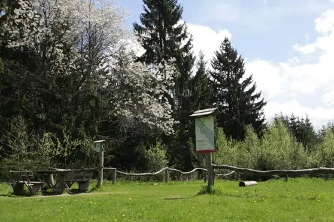 Bučina, nouzové nocoviště