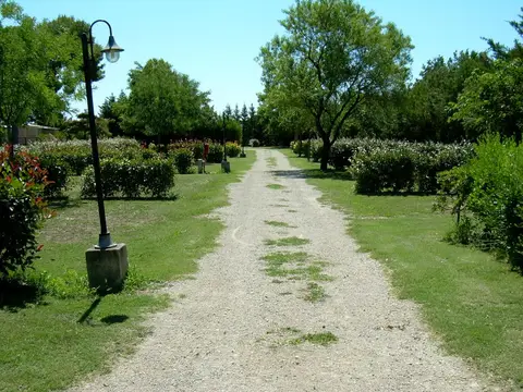 Les Amandiers
