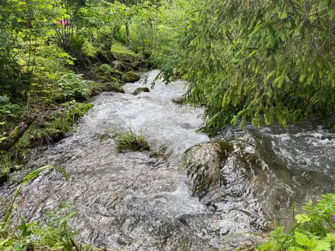Camping Les Marronniers