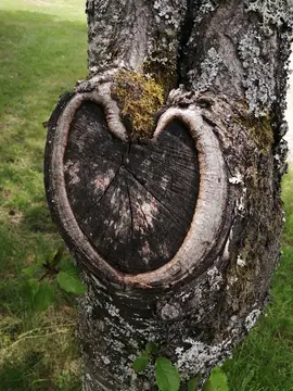 La Serre de Portelas