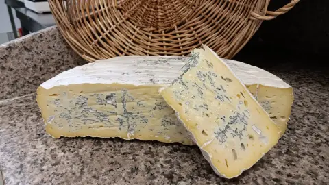 Camping Champ la Chèvre
