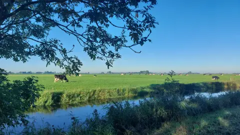 Camping De Blijer Wadden