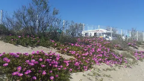 La Plage