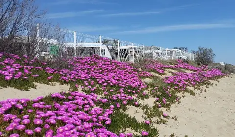 La Plage