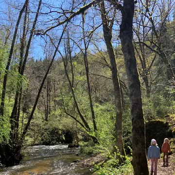 Les Suchères