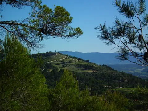 Messidor