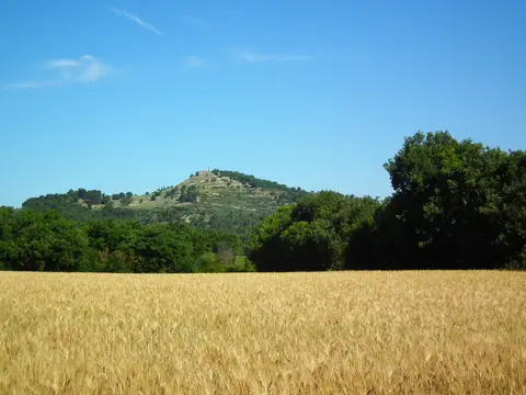Messidor
