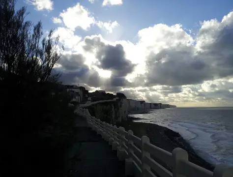 Le Picardy