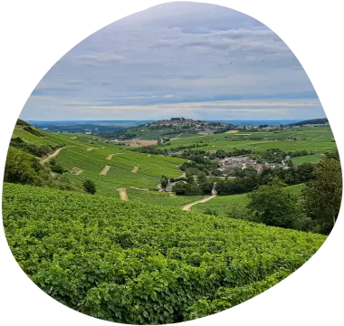 Les Portes de Sancerre