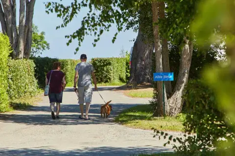 Camping L'Oasis