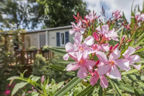 Camping Antioche d'Oléron