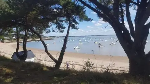 Les Ajoncs d'Or