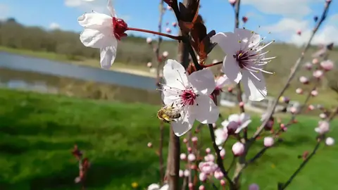 Camping Naturiste du Lac de Lislebonne