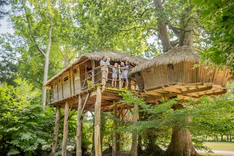 Domaine des Ormes