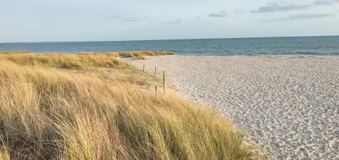 Camping de la Plage de Cleut-Rouz