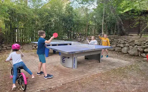 La Coscolleda