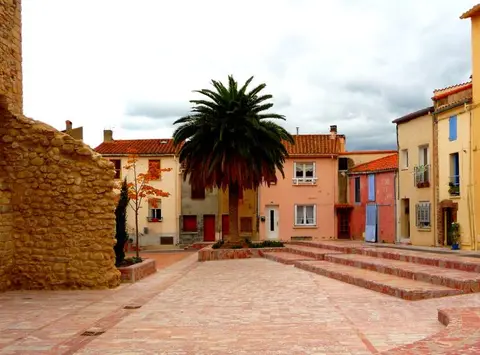 Les Micocouliers