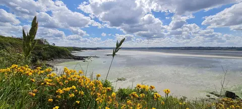 Bellevue Mer