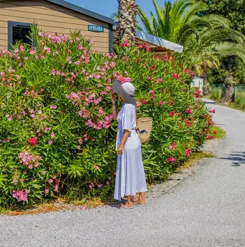 Camping Clos du Thym