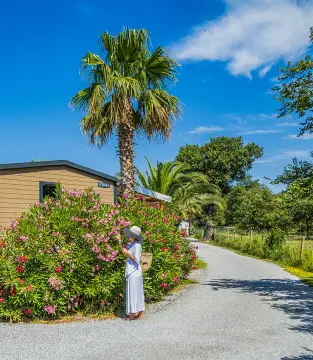Camping Clos du Thym