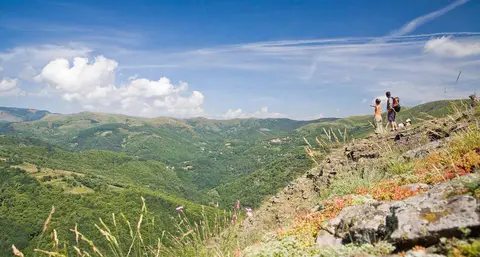 Ardèche Camping