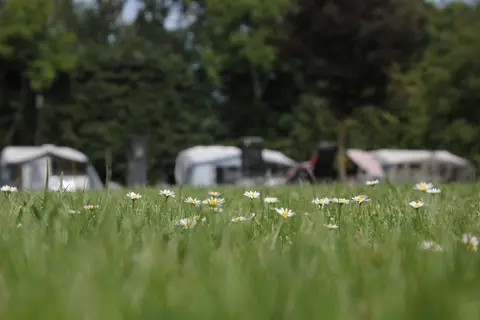 Camping de Zandberg