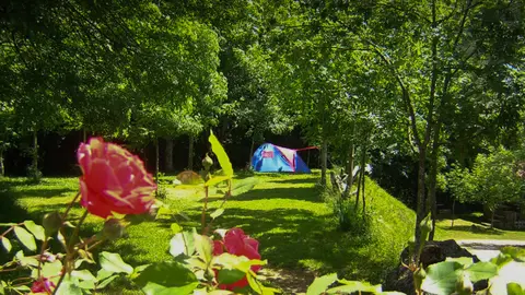 Camping El Redondo