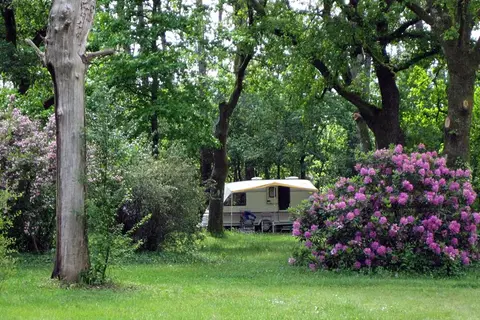 Camping du Toy