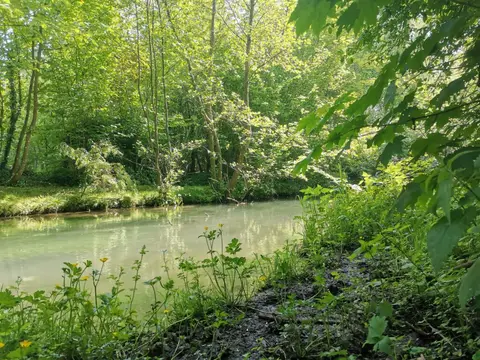 Le petit Saint-Jean